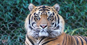 10 True Stories Of Karma Providing Instant Justice