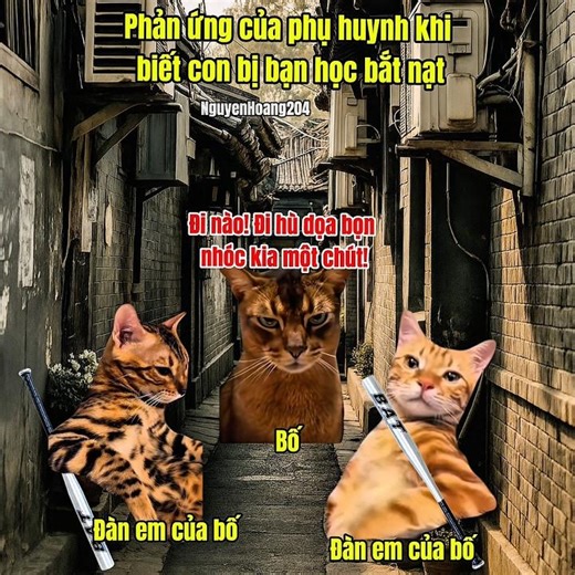 Phản ứng của phụ huynh khi biết con bị bắt nạt #meme #catmeme