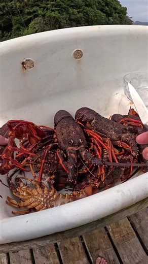 📽️ @henry__gibbs