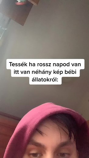 instagram: zsombor.radics