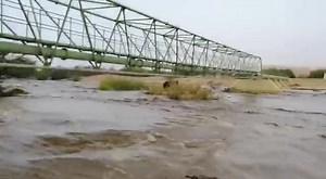 KUISEB IN FULL FLOW | The Kuiseb River is flowing at a high speed and could soon reach the ocean after good rains received in Khomas Hochland and Sossusvlei areas over the past few days. Just a week ago, the river was only trickling past Utuseb and did not reach Rooibank yet. But within a week the water has passed Rooibank on its way to Walvis Bay. The last time the river reached the sea was in 2000. Residents from Walvis Bay are flocking to the river daily to see how strong the river runs. | NB