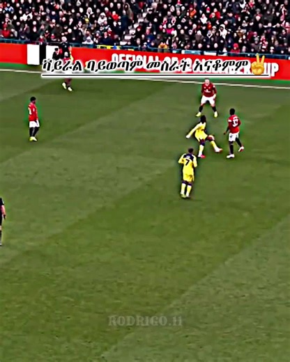 Explore the Journey of Bruno Fernandes