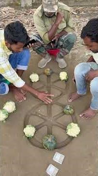 The games of domestic children #betalfun #villagegame #funny #indiagames #officialvideo #vegetables