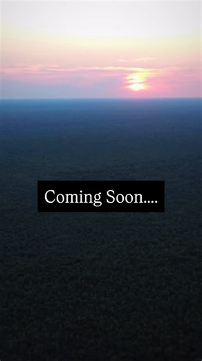 Deep Jungle Studios on Instagram: "Let’s start filming #deepjungle"