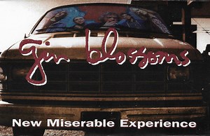 Gin Blossoms - New Miserable Experience