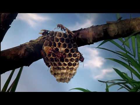 Micro Monsters - Family ( Episode 5 )