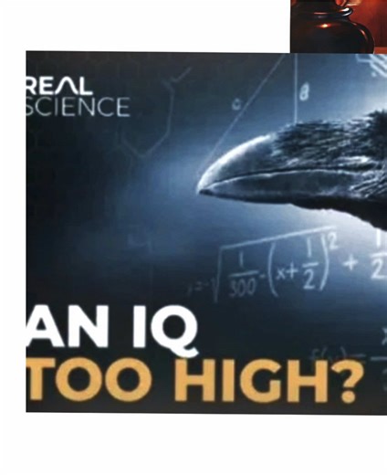 no intro version #flightreacts #meme #edit #fyp #viral | Flight Reacts