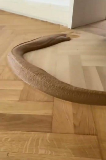 Repairing parquet flooring / Laying parquet flooring / Adhesives / Tools / Vinyl / Tips / Tricks ...