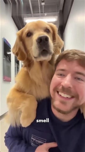 5 Crazy Dog Facts 🐶🔥