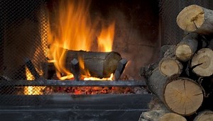 15 Best Trees for Firewood: Good Burn Rate and High Heat