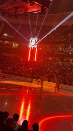 Ducks new entrance is next level