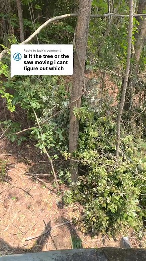 4.5K views · 16 reactions | Replying to @Bradley Seger I explain why I don’t separate the wood. #LanguageLearning #cutterman #tigercatforestry #fyp #saw | Cuttermaan830 | Facebook