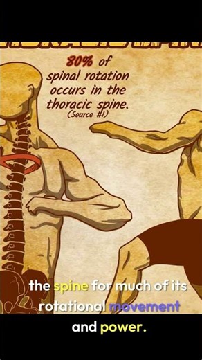 Thoracic Spine Issues #anatomy#backpain #ribpain