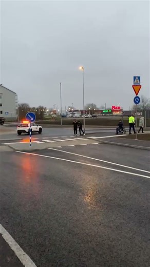 Sveriges nyaste rondell