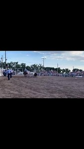 Must’ve not liked what those judges marked him | Rodeo Wrecks