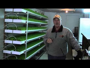 Awesome Alpacas - Fodder Growing System