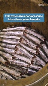 It takes 50 to 60 pounds of fresh anchovies to make just a liter of anchovy sauce. #fish #anchovies #italy | Insider Food