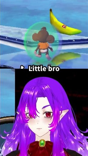 a lesson in monkey anatomy