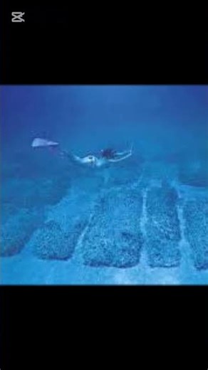 The Bimini Road: Path to Lost Atlantis!