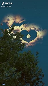 Beautiful Scenery Captured in Nature's Gallery