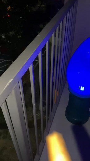 The office manager called the laws They got it on camera going get the lady that ran into the gate | Josh Hamilton | Facebook