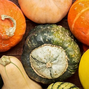 Guide For Growing, Harvesting & Storing Winter Squash