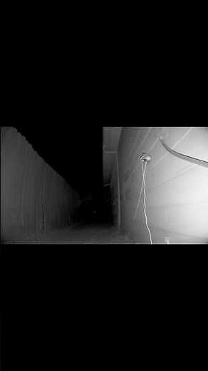 Real Footage? The Hat Man Appears on Home Security Camera #horror #ghost #scary