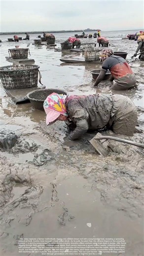 Mud-Diving for Clams: Why This Ancient Trick Still Outsmarts Modern Tools