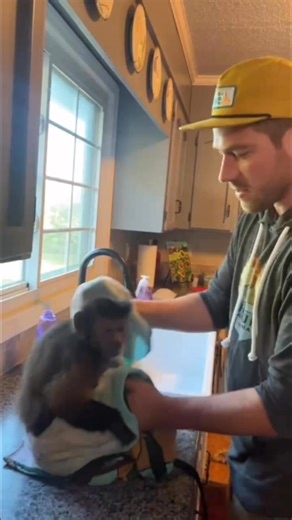 84K views · 3.5K reactions | MonkeyBoo on Reels | Facebook