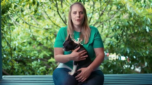 How Does Weather Affect Your Dog Walk? Check Our Temperature Chart