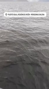 5.1K views · 1.2K reactions | En las aguas del canal Petrel, frente a...