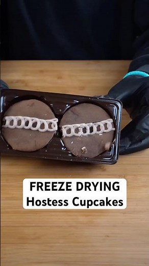 Freeze Drying Cupcakes