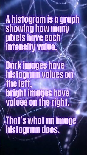 Image Histogram Explained Image Processing Basics
