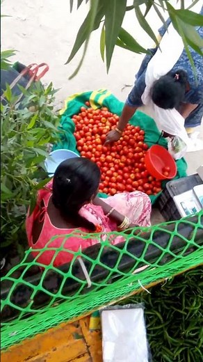 ఈ రోజు యాపారం తొందరగా అయిపోయింది 🤪🌶️🥳. #bowenpally #shorts #trending #vegetables #vantimamidi