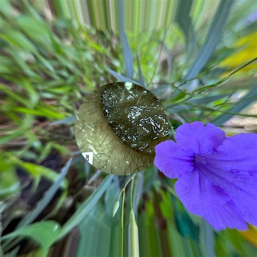 10K views · 105 reactions | Enjoy my treatment and clean 2 | Henri Wall | Facebook