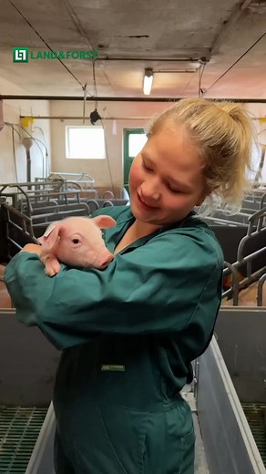 44K views · 629 reactions |  Nicht nur auf dem Titel, sondern auch...