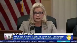 11K views · 135 reactions | TEXT MESSAGES REVEALED: Newly revealed messages show former President Trump’s closest allies wanted him to take action as rioters were storming the Capitol on January 6. ABC’s Andrew Dymburt reports. | World News Now | Facebook