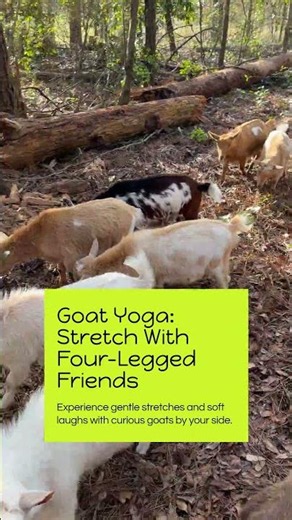 Mindful Movement for Beginners With Goats