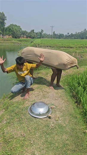 A cow came and turned the pot upside down.69087#funny