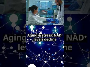 NAD⁺ Explained | Role in Energy Metabolism, DNA Repair & Molecular Research