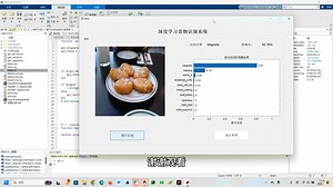 基于matlab的CNN食物识别分类系统，matlab深度学习分类，训练+数据集+界面