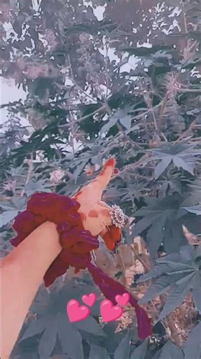 #tedrush ◉⁠‿⁠◉◉⁠‿⁠◉