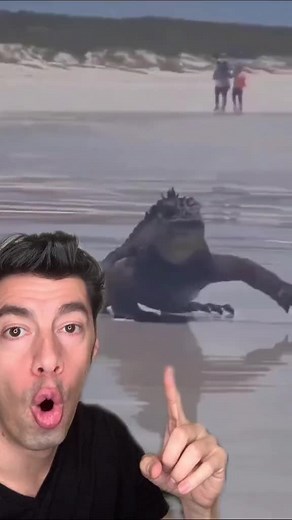 Adrian Quihuis on TikTok