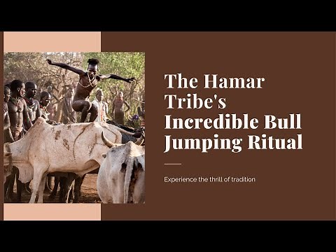 Inside the Hamar Bull-Jumping Ceremony: A Rite of Passage