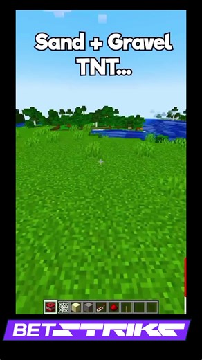 Crazy Minecraft Experience You Won't Believe