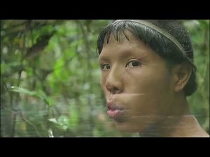 Exploring the Wonders of the Amazon: Unveiling the Rich Tapestry of the Forest and its Indigenous