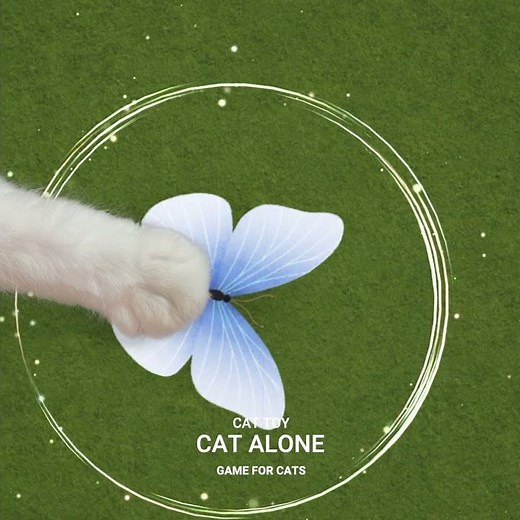 CAT ALONE / Game for Cats