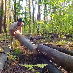 33K views · 980 reactions | building a bushcraft log cabin alone in the forest | Mountain Cabins | Facebook
