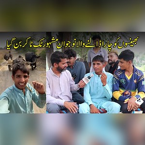 2.5M views · 137K reactions | بھینسوں کو چارا ڈالنے والا نوجوان فیصل کمبوہ مشہور ٹک ٹاکر بن گیا، ملین ملین ویوز کیسے لیتا ہے؟ ماہانہ کتنے پیسے کماتا ہے ؟ دیکھئے اس رپورٹ میں #NewsAlert | News Alert | Facebook