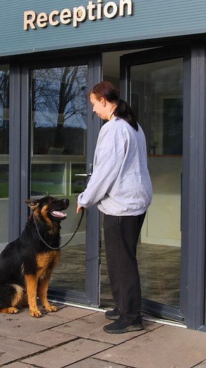 2.1K views | A dog should never be the first to go through a gate or...